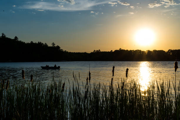 istock Summer sunset over a lake in Minnesota 979647180