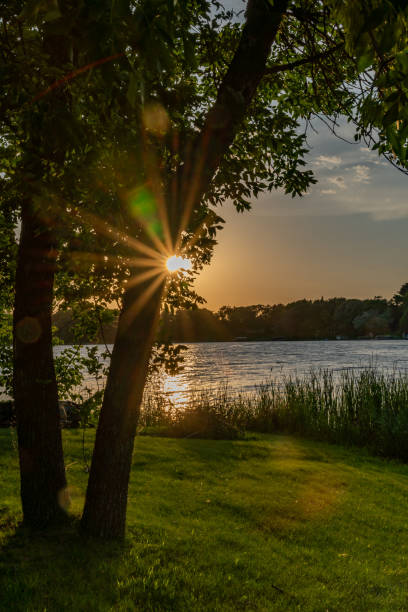 istock Summer sunset over a lake in Minnesota 979647770