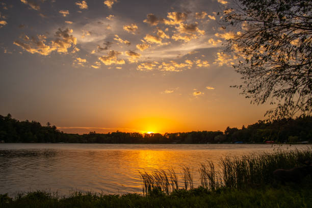 istock Summer sunset over a lake in Minnesota 979647776