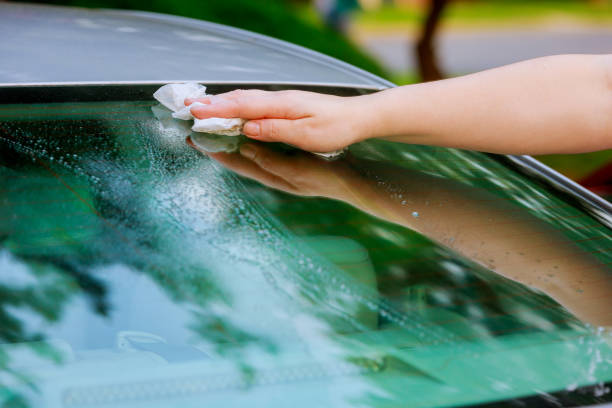 istock women hand dry wiping car surface with microfiber cloth after washing. 979665952