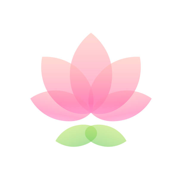 значок цветка лотоса - lotus water lily lily pink stock illustrations