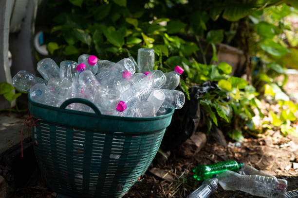 istock Plastic bottle in the basket for recycling 979693986