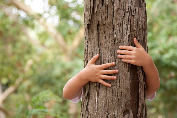 Huging un arbre - Photo