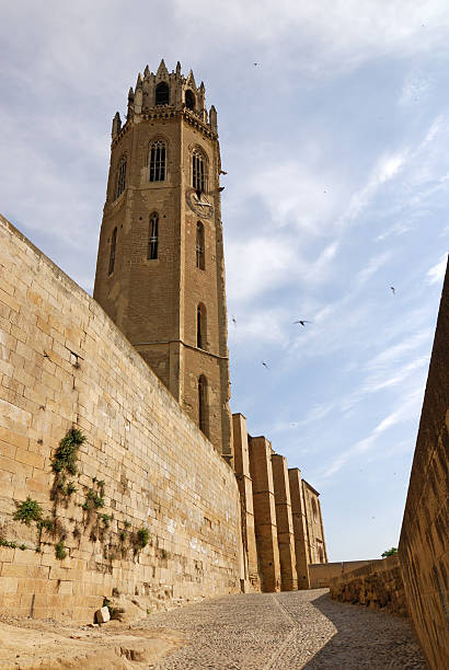 istock Lerida (Catalonia, Spain) - Gothic cathedral and walls 97974254