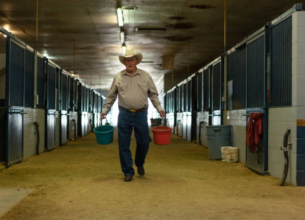 istock Senior cowboy at a horse stable 979746864