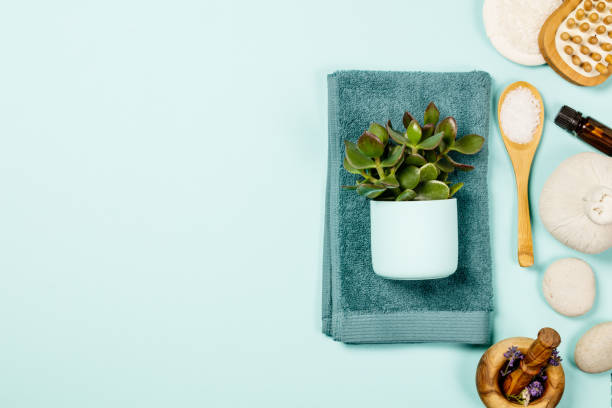 istock Green cosmetics flat lay with succulent plant 979747082