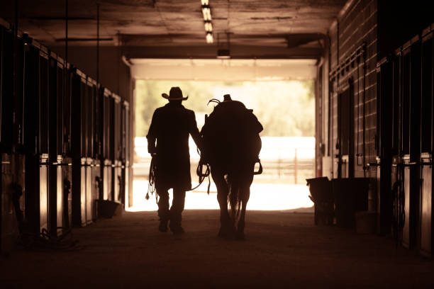 istock Cowboy at a horse stable 979747226