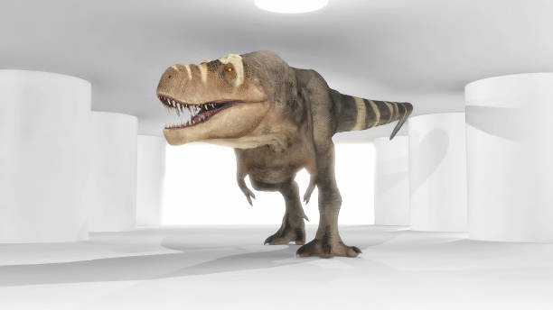 istock Tyrannosaurus Rex walking iwalking through indoors 979751060