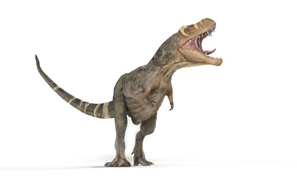 istock Tyrannosaurus Rex on white background 979751266