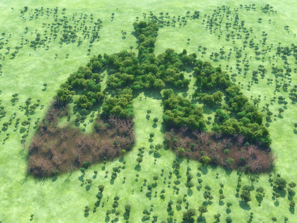 istock Conceptual image of a forest in shape of lungs 979751282