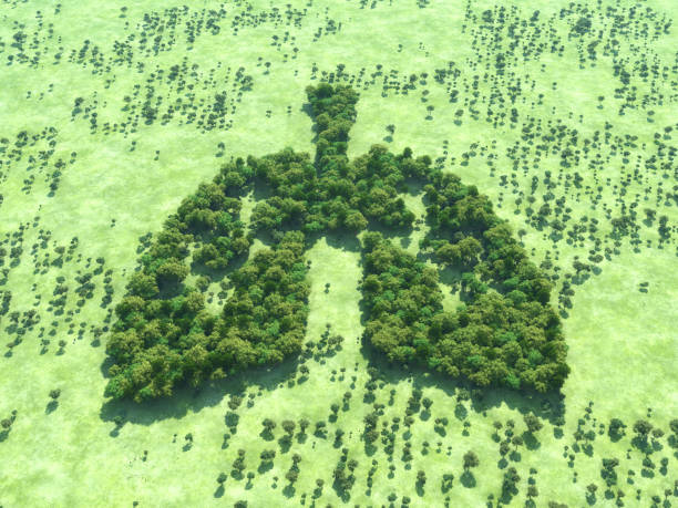 istock Conceptual image of a forest in shape of lungs 979751364