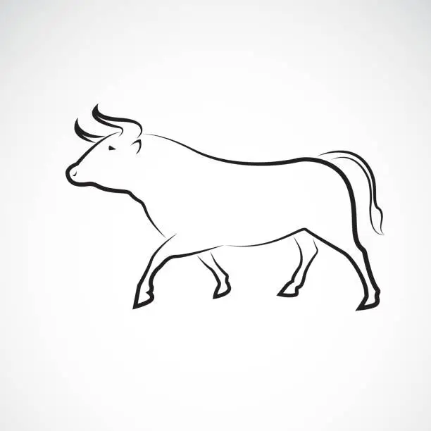 Vector illustration of Vector of bull design on white background, Wild Animals, Vector illustration. Easy editable layered vector illustration.