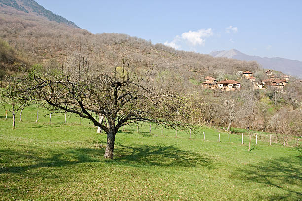 View Dragostin village in Pirin stock photo