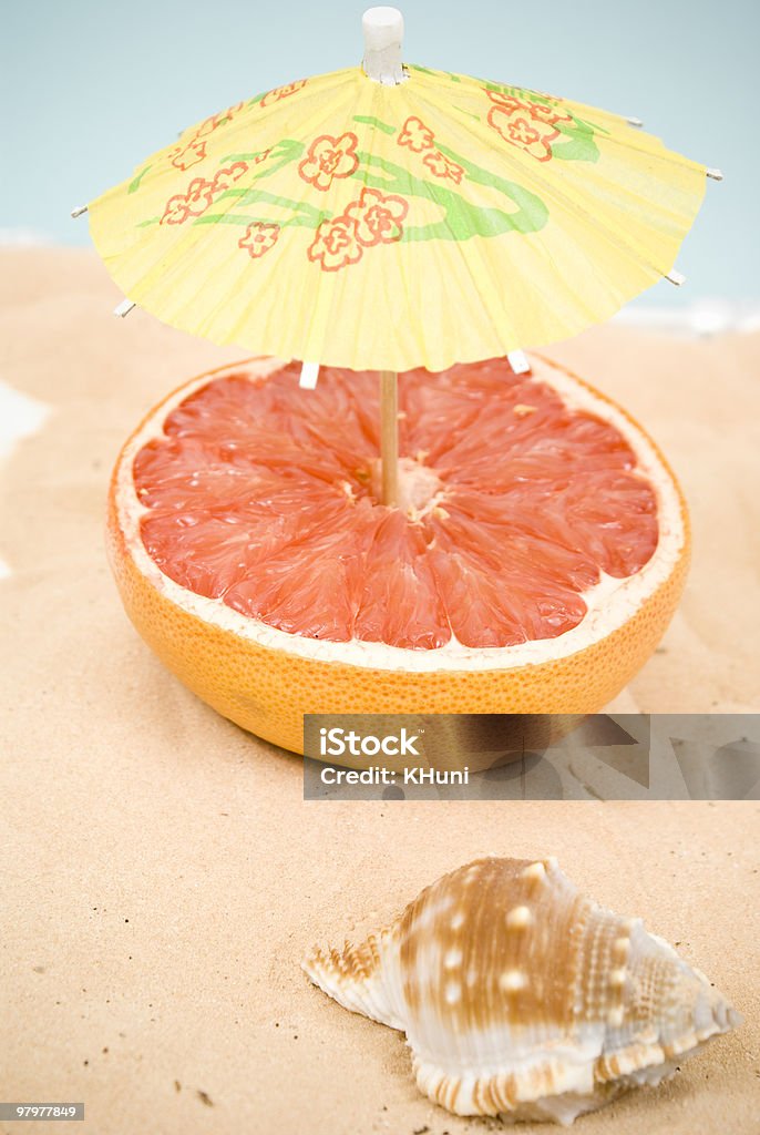 Beach  Animal Shell Stock Photo