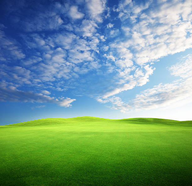 istock field of grass and perfect sunset sky 97978599