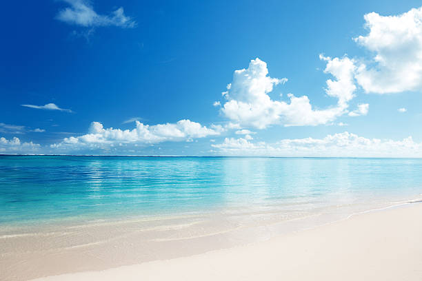 istock sand and Caribbean sea 97979225