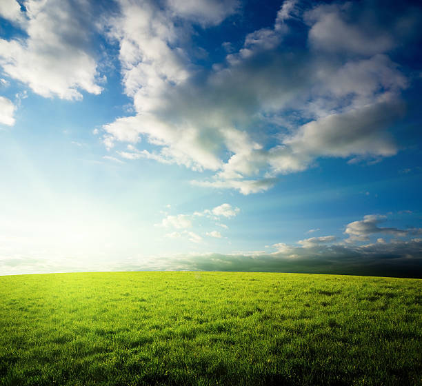 istock field of grass and sunset 97979347