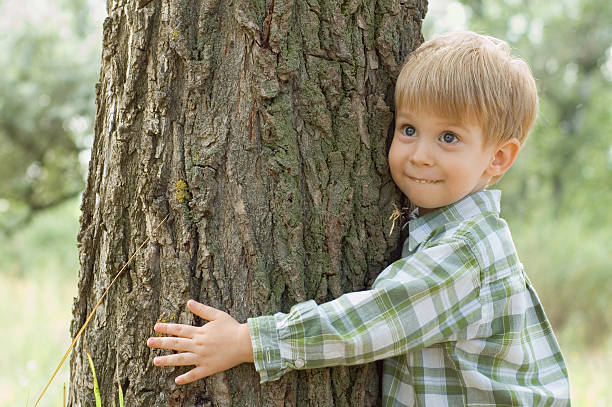 care of nature - little boy embrace a tree stock photo