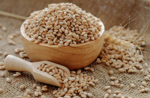 istock pearls barley grain seed on background 979813704