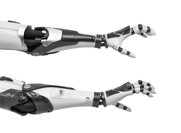 3d rendering of two robot arms with hand fingers in grabbing motion on white background. Grab and catch. Robot takes object. Android receives something.