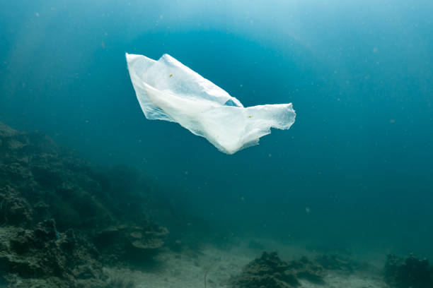 istock Environmental Issue underwater image of plastic in the ocean 979858484