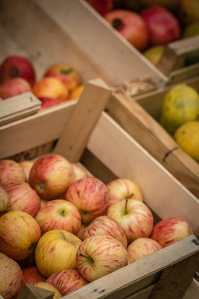 istock Red and yellow apples for sale 979877682