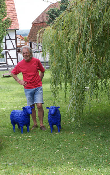 2 blue sheep as figures in the garden are funny 2 blue sheep as figures in the garden are funny and delight the people blue sheep photos stock pictures, royalty-free photos & images