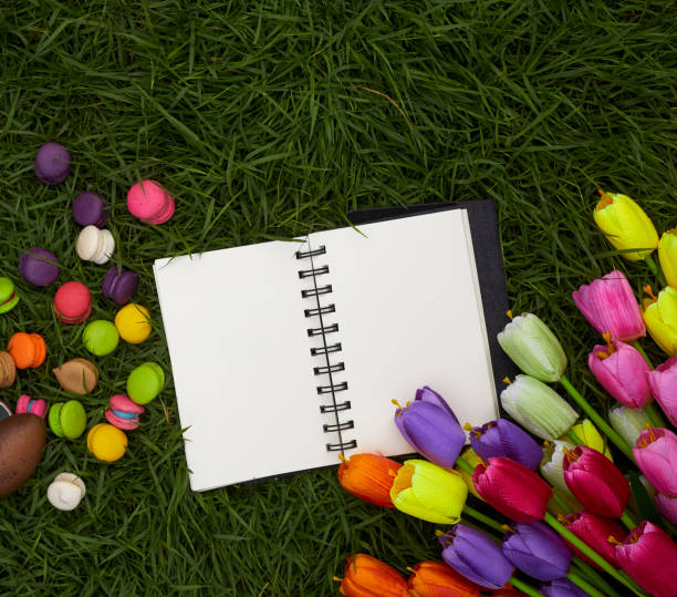 istock Easter Eggs with tulips on Fresh Green Grass over white background 979880344