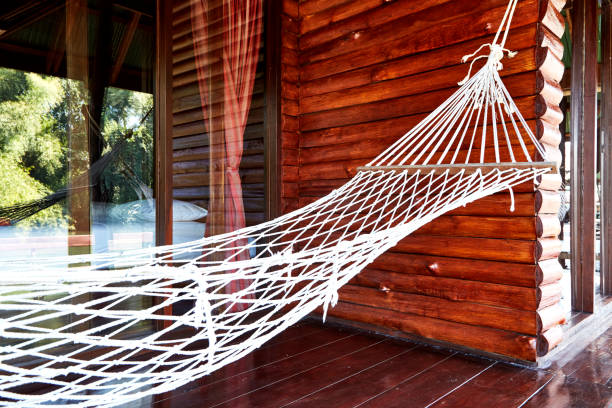 istock summer hanging chair palm tree nature background 979882502