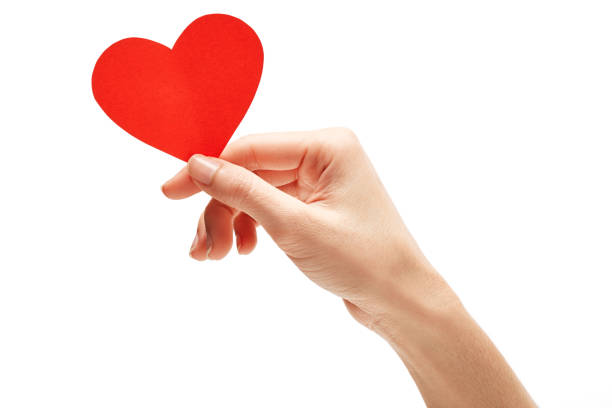 istock red paper heart in hand isolated on white 979883616