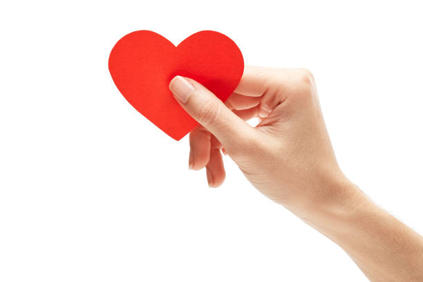 istock red paper heart in hand isolated on white 979884060