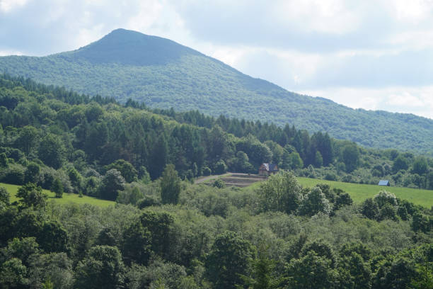 istock Bieszczady Mountains in Poland 979886912