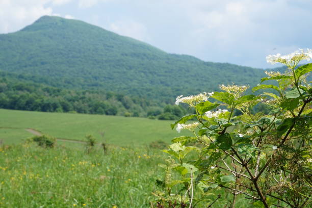 istock Bieszczady Mountains in Poland 979887326