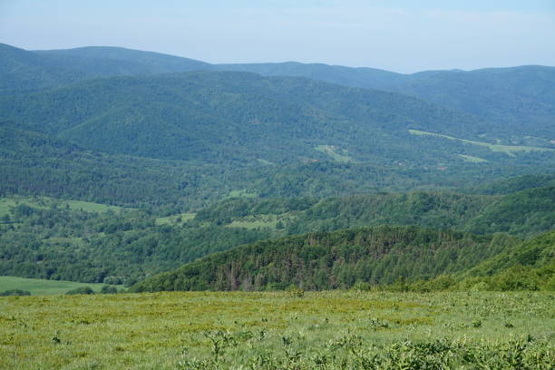 istock Bieszczady Mountains in Poland 979887588