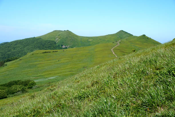 istock Bieszczady Mountains in Poland 979888256