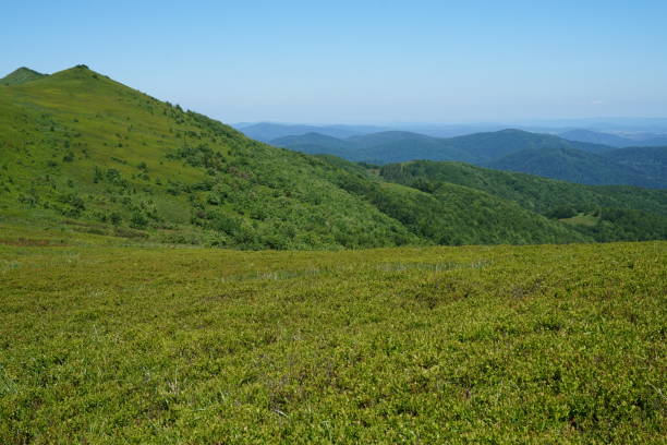 istock Bieszczady Mountains in Poland 979890520