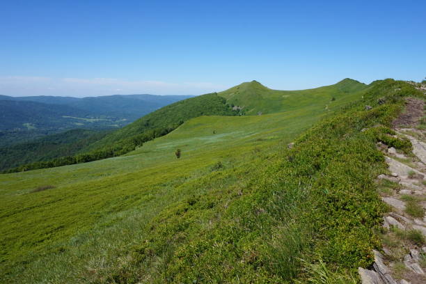 istock Bieszczady Mountains in Poland 979890888