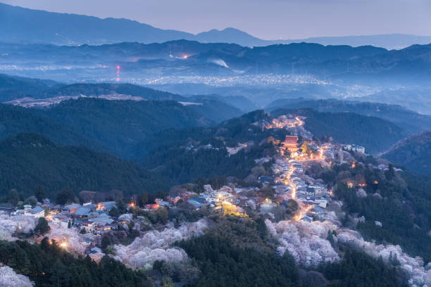 Yoshinoyama sakura cherry blossom