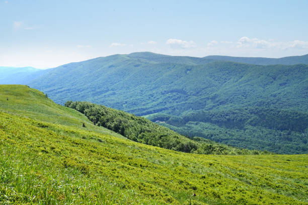 istock Bieszczady/ Poloniny Mountains in Poland 979891488