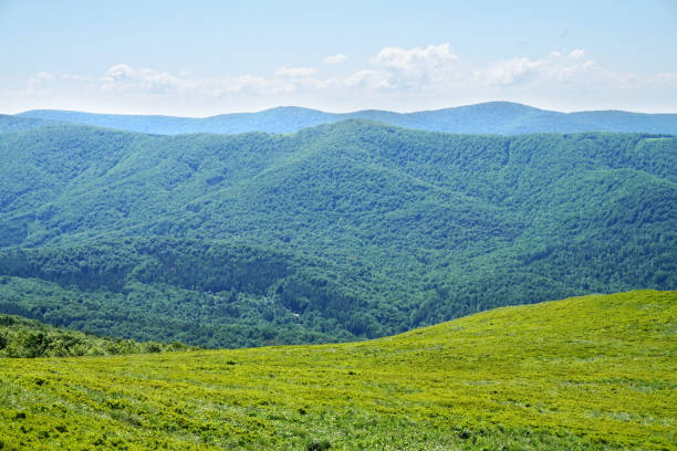 istock Bieszczady Mountains in Poland 979891542