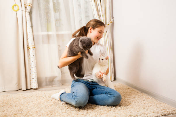 istock young girl is having fun with her cats 979920362