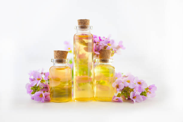 istock essential oil in  beautiful jar on  white background 979925920