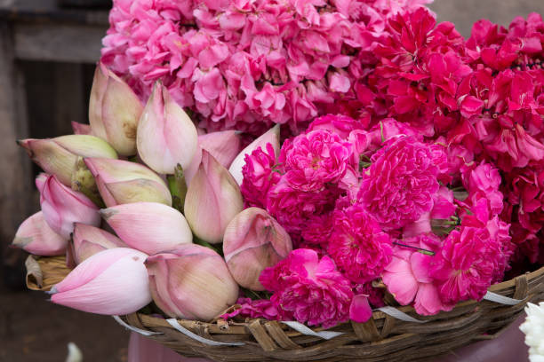 istock pink offering flowers near a temple 979934892