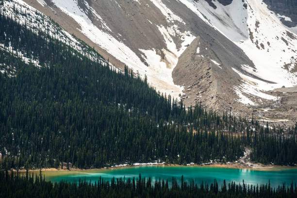istock bow lake,banff national park 979934998