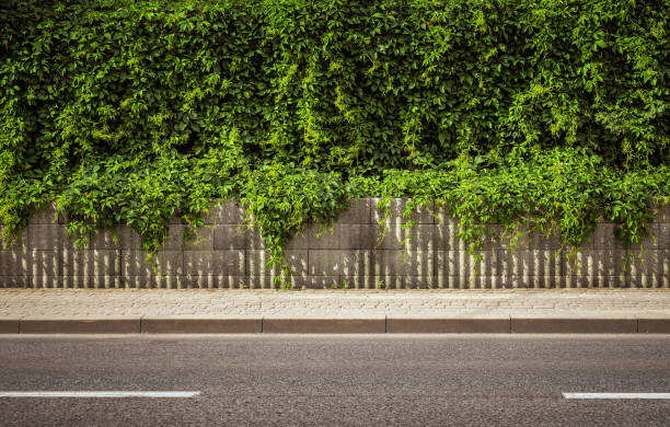 空の通り背景 - sidewalk ストックフォトと画像