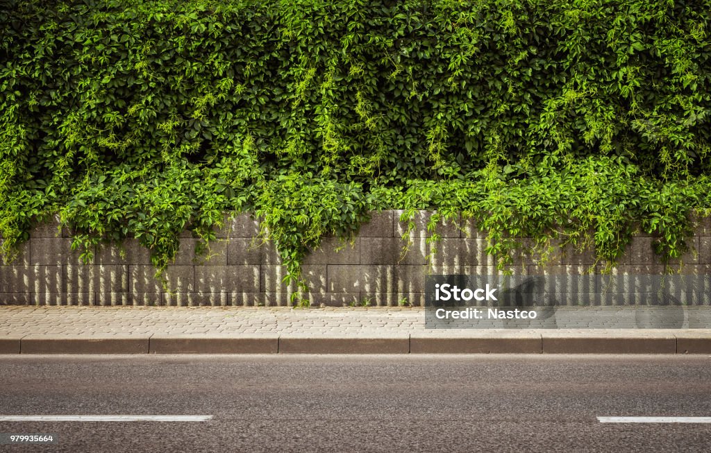 Empty street background Empty city road background with copy spcae Street Stock Photo