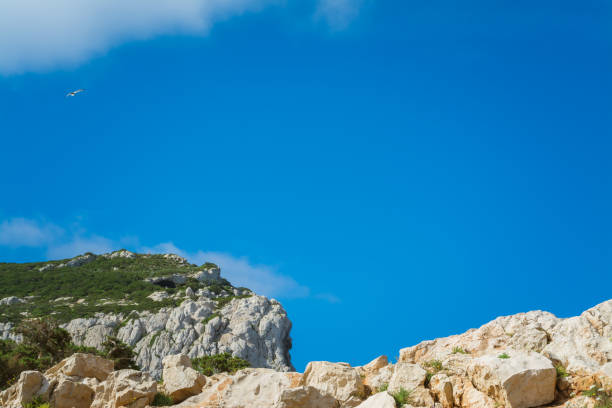 Landscape of sardinian coast  with Foradada Island in a sunny day of summer