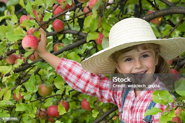 Little Gardener Stockfoto und mehr Bilder von Agrarbetrieb - Agrarbetrieb, Apfel, Apfelbaum