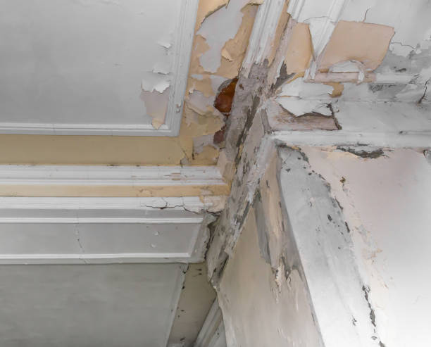 istock Ceiling and walls damage by humidity 979939926