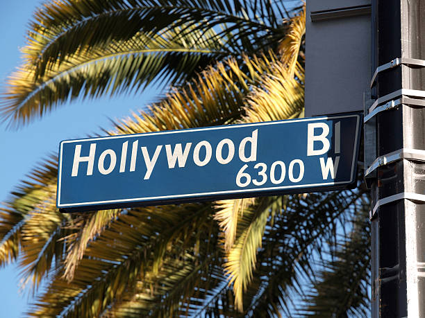 hollywood boulevard palms - boulevard photos et images de collection